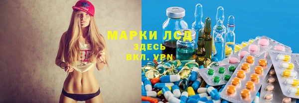 сатива Абинск
