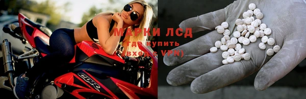 сатива Абинск