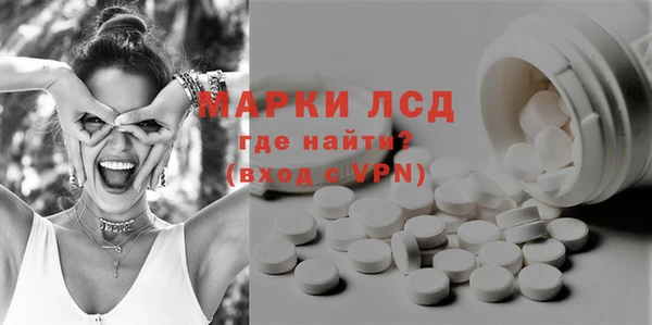 сатива Абинск