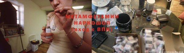 сатива Абинск